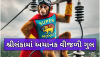 વાંદરાએ કર્યો મોટો કાંડ,હનુમાનની જેમ શ્રીલંકાની લગાવી દીધી લંકા;અંધકારમા ડૂબ્યો દેશ