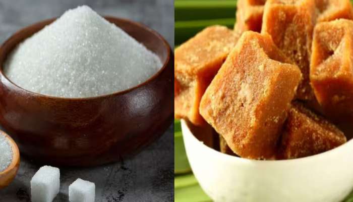 Sugar vs Jaggery: ખાંડ કે ગોળ? ડાયાબિટીસમાં ગળ્યુ ખાવાની ઈચ્છા થાય તો શું ખાવું ?