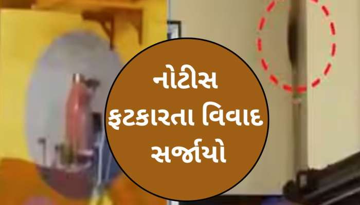 લો બોલો! દર્દીઓને ઉંદર બચકા ભરે અને તેને પકડવા અત્યાચાર? જીવદયા પ્રેમીએ ફટકારી નોટિસ