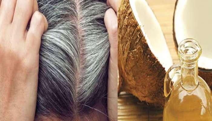 Coconut Oil: નાળિયેર તેલમાં આ પાવડર મિક્સ કરી લગાડો વાળમાં, કલર વિના સફેદ વાળ કાળા