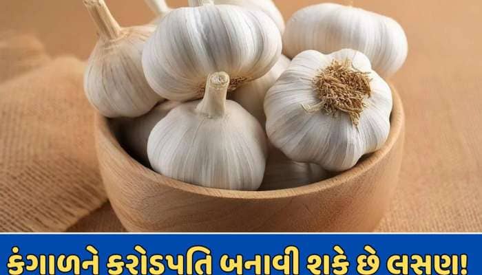 લસણના આ ઉપાયથી તમે બની શકો છો કરોડપતિ, ઉપાય અપનાવીને જુઓ