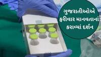 વાહ રે! 20 મહિનાના બાળક માટે એવું શું થયું કે ગુજરાતીઓએ કલાકોમાં ભેગા કર્યા 16 કરોડ!