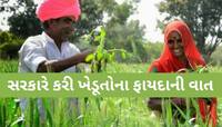 ગુજરાત ખેડૂતો માટે સરકારની આ યોજના દમદાર! DGVCLની ટીમો કરે છે જાગૃત, ખર્ચ છે 'શૂન્ય'