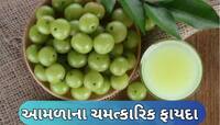 આયુર્વેદમાં આમળાને માનવામાં આવે છે અમૃત, આ બીમારીઓ માટે છે રામબાણ!