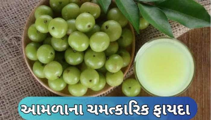 આયુર્વેદમાં આમળાને માનવામાં આવે છે અમૃત, આ બીમારીઓ માટે છે રામબાણ!