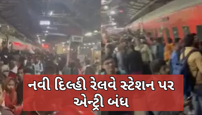 દિલ્હી રેલવે સ્ટેશન પર નાસભાગ! મહાકુંભમાં જનારા લોકોની ભારે ભીડના કારણે અનેક લોકો બેભાન