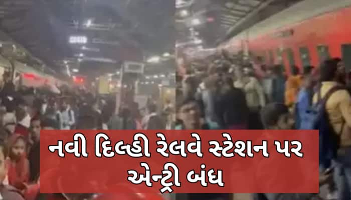 દિલ્હી રેલવે સ્ટેશન પર નાસભાગ! કુંભમાં જનારા લોકોની ભારે ભીડના કારણે અનેક લોકો બેભાન