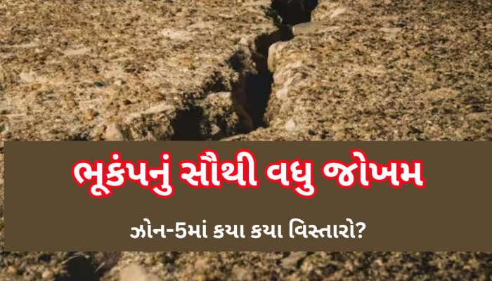 બનાસકાંઠા બાદ હવે દિલ્હી-NCRમાં ધરા ધ્રુજી, ભારતમાં ક્યાં છે ભૂકંપનું સૌથી વધુ જોખમ? ગુજરાતનો આ વિસ્તાર ડેન્જર ઝોનમાં