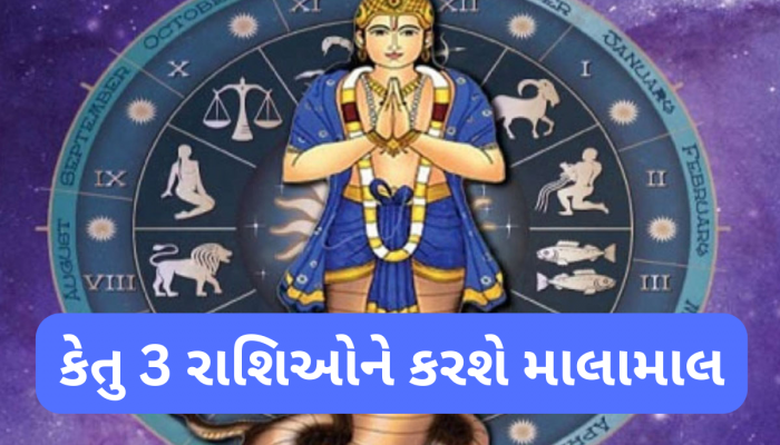 Ketu Gochar 2025: 18 વર્ષ પછી પાપી ગ્રહ કેતુ સૂર્યની રાશિમાં પ્રવેશ કરશે, 3 રાશિવાળાઓની આવકના સ્ત્રોત વધશે. આર્થિક સ્થિતિ સુધરશે