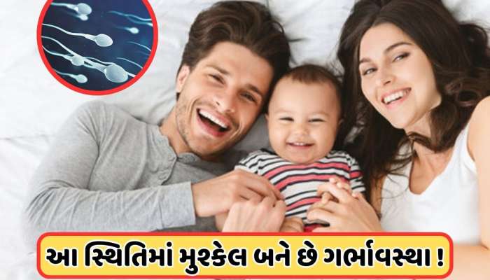 બાળક પેદા કરવા માટે સ્પર્મ કાઉંટ કેટલું હોવું જોઈએ ? જાણો ઝડપી પ્રગનેંટ થવાની 3 રીત