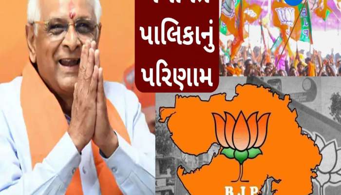 ચૂંટણીના દસ ચમકારા : સ્થાનિક સ્વરાજ્યની ચૂંટણીના સત્તામાં ઉલટફેર કરતા 10 મોટા પરિણામ