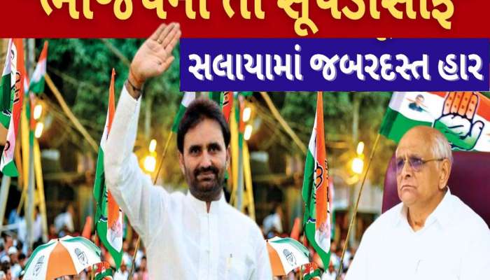 સલાયામાં ભાજપના સૂપડા સાફ! એક પણ બેઠક ન મળી, આપ જીતતાં જીતતાં રહી ગઈ