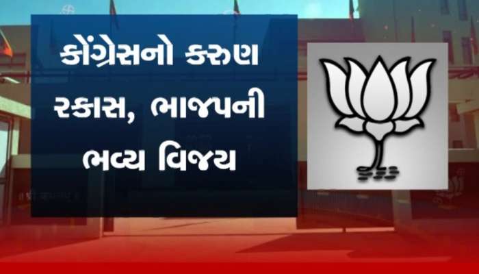  નાના નગરોમાં ભાજપનું ફરી આવ્યું શાસન, BJPની આંધીમાં ઉડ્યા કોંગ્રેસ અને AAP, જાણો કોને કયાં મળી જીત