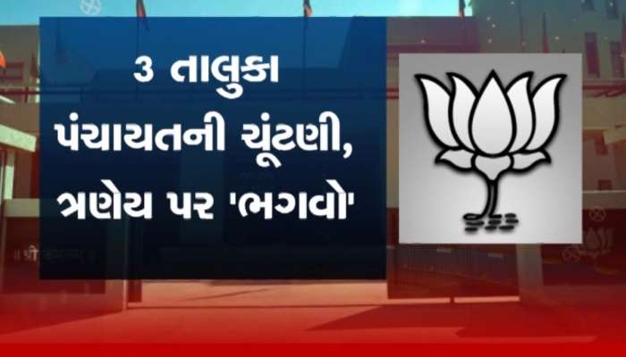   ત્રણ તાલુકા પંચાયતમાં પણ ભાજપનો વિજય, ગાંધીનગરમાં આઝાદી બાદ પ્રથમવાર ચાખ્યો જીતનો સ્વાદ
