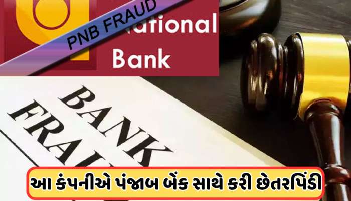 Bank Fraud: હવે આ કંપનીએ પંજાબ બેંકને લગાવ્યો ચૂનો, કરોડો રૂપિયાની કરી છે છેતરપિંડી
