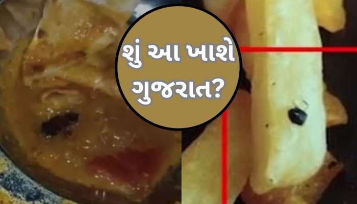 ક્યાંક ભોજનમાંથી કીડા, તો ક્યાંક પીઝામાંથી મકોડો! આ બે શહેરોમાં ગ્રાહકને કડવો અનુભવ