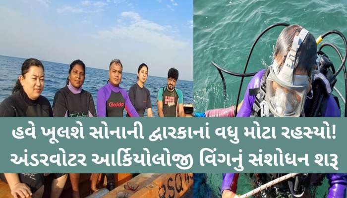 દ્વારકાના દરિયામાંથી મળેલી એ વસ્તું...જેણે ખોલ્યાં મોટા રહસ્યો, આ વિંગનું સંશોધન શરૂ