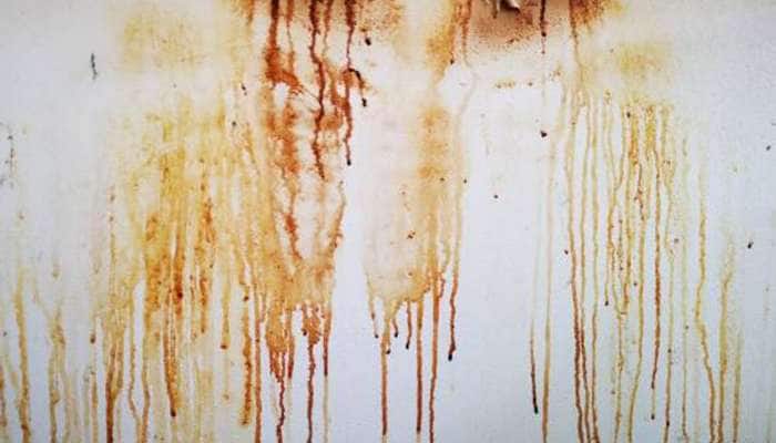 Oil Stains: રસોડાની દિવાલ પર લાગેલા તેલ, મસાલાના ડાઘ દુર કરવા આ વસ્તુનો ઉપયોગ કરો