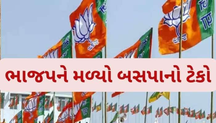 માંગરોળ નગરપાલિકામાં પરિણામ બાદ પડી ગયો ખેલ, બહુમતી ન હોવા છતાં શાસન કરશે ભાજપ