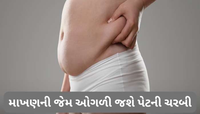 Belly Fat: આ 4 ફળ છે ફેટ કટર, રોજના આહારમાં કરી લો સામેલ, ગણતરીના દિવસોમાં શેપમાં આવી જશે બોડી