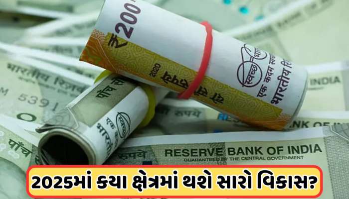 ભારતમાં વર્ષ 2025માં સેલેરી કેટલી વધશે? જાણો ડેટા એનાલિસિસમાંથી શું મળ્યા સંકેત !