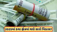 ભારતમાં વર્ષ 2025માં સેલેરી કેટલી વધશે? જાણો ડેટા એનાલિસિસમાંથી શું મળ્યા સંકેત