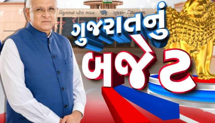Gujarat Budget 2025: ઘરના ઘરની સબસિડી વધી, પેથાપુર મહુડી રોડ પર ફલાય ઓવર, જાણો ગુજરાતમાં બજેટની અનેક મોટી જાહેરાત