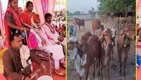 ગુજરાતના આ સમાજે કર્યું અનોખું કન્યાદાન, સમુહ લગ્નમાં 58 દીકરીઓની આપી ગીરની ગાય 