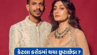 કોર્ટમાં ચહલ અને ધનશ્રી વચ્ચે શું થઈ વાતચીત ? કેટલા કરોડમાં થયા છૂટાછેડા ?