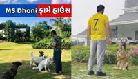 MS Dhoniનું ફાર્મ હાઉસ અંદરથી દેખાય છે કંઈક આવું...એક એક ખૂણો છે આલીશાન, જુઓ Photos