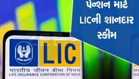 માત્ર 1 વખત ભરો પ્રીમિયમ જીવનભર મળશે પેન્શન! LICએ લોન્ચ કરી નવી સ્માર્ટ પેન્શન સ્કીમ