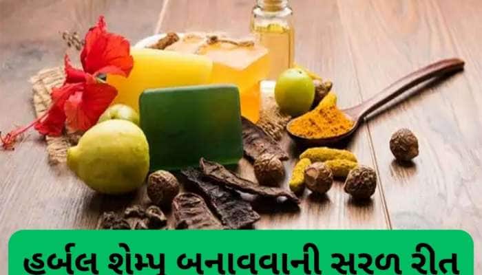 Herbal Shampoo: આ હર્બલ શેમ્પૂથી વાળ ધોવાનું રાખો, વાળ ખરતાં બંધ થશે અને કાળા રહેશે