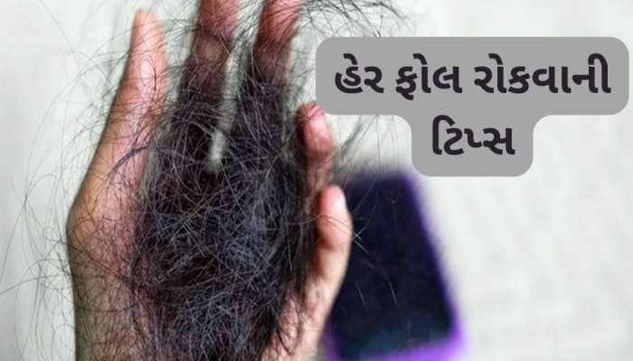 પ્રેગ્નન્સી પછી ખરતા વાળથી પરેશાન છો ? આજથી વાપરવા લાગો આ વસ્તુઓ,અટકી જશે ખરતા વાળ