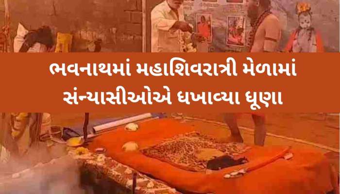 'ચપટી ભભૂત હે, કુબેર કા ખજાના..', મહાશિવરાત્રી મેળામાં ધુણાઓ, ભભૂતનું છે વિશેષ મહત્વ