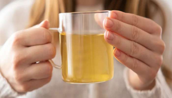 Fenugreek Water: બસ 30 દિવસ પીવો મેથીનું પાણી, શરીરમાંથી આ બીમારીઓ નીકળી ન જાય તો કહેજો...