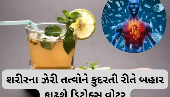 શરીરને અંદરથી સાફ કરી નાખશે આ 5 ડ્રિંક્સ, યુરિન મારફતે નીકળી જશે બીમાર કરતાં ટોક્સિન