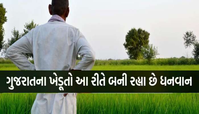આ સરકારી યોજનાથી અમીર બન્યા ગુજરાતના ખેડૂતો, 66.55 લાખ ખેડૂતોને મળ્યા 18,800 કરોડ રૂપિયા
