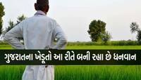 આ સરકારી યોજનાથી અમીર બન્યા ગુજરાતના ખેડૂતો, 66.55 લાખ ખેડૂતોને મળ્યા 18,800 કરોડ 