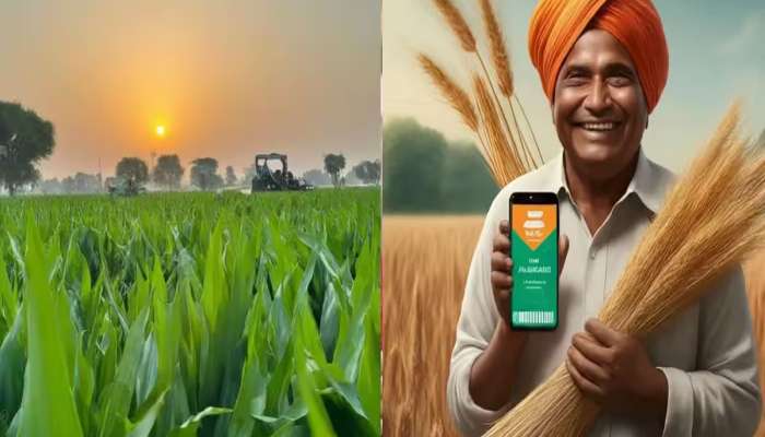 ગુજરાતના 51.41 લાખથી વધુ ખેડૂતોના ખાતામાં આવ્યા 2,000 રૂપિયા, કુલ 1148 કરોડ રૂપિયાની સહાય ચુકવાય