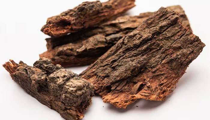 Home Remedies: આ લાકડીનું પાણી છે ખુબ લાભકારી, બ્લડ પ્રેશર-કોલેસ્ટ્રોલ પણ આપોઆપ કંટ્રોલ થવા લાગશે!