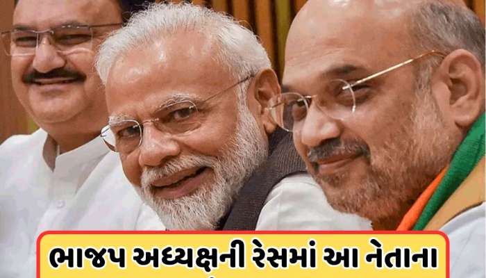 BJP President: ભાજપ અધ્યક્ષ પદની રેસમાં દક્ષિણના ત્રણ દિગ્ગજ નેતાઓ, જાણો કોને લાગશે ચાન્સ