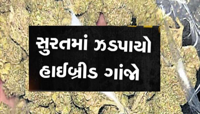કાર લઈને બે શખ્સો હાઈબ્રીડ ગાંજો વેચવા નીકળ્યા, અચાનક પોલીસે મારી એન્ટ્રી અને.......