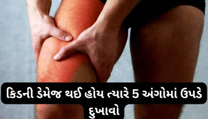  શરીરના આ અંગોમાં થતો દુખાવો કિડની ડેમેજનું હોય શકે લક્ષણ, સમયસર ધ્યાન આપવું જરૂરી