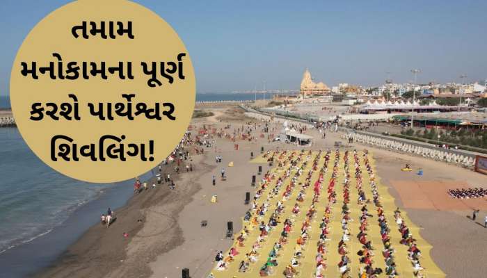 મહાશિવરાત્રીના દિવસે સોમનાથ દરિયા કાંઠે 3500થી વધુ ભકતોએ લીધો આ લાભ, ટ્રસ્ટનું આયોજન