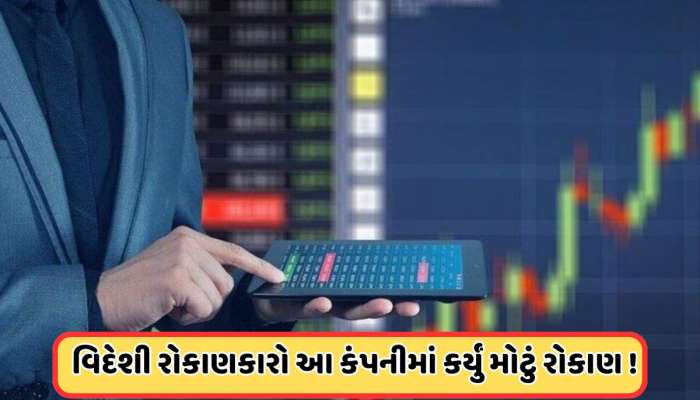 વિદેશી રોકાણકારોએ આ 87 પૈસાના પેની સ્ટોક પર કર્યું મોટું રોકાણ, ખરીદ્યા 9000000 શેર