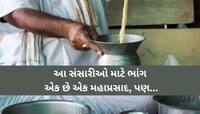 નાગા સંન્યાસીઓની પ્રિય ભાંગનું શું છે વિશેષ મહત્વ? 100 ટકા આ જગતના સંસારીઓ નથી જાણતા