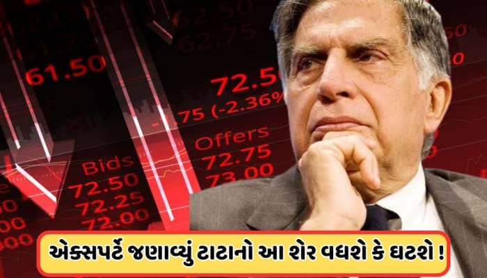 તૂટીને લગભગ અડધો થઈ ગયો ટાટાનો આ સ્ટોક, એક્સપર્ટ આપી આ સલાહ