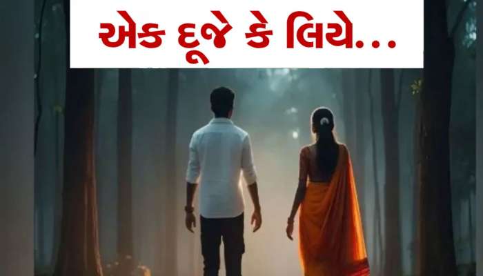 ગુજરાતી કપલે માઉન્ટ આબુના જંગલોમાં જઈને કર્યો આપઘાત, પછી જીવ બચાવવા હોટલમાં ફોન કરીને મદદ માંગી