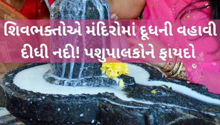 શિવરાત્રિ પર 16 લાખ લિટર દૂધનું વેચાણ; 75 વર્ષના સુમુલ ડેરીના ઈતિહાસમાં મોટો રેકોર્ડ