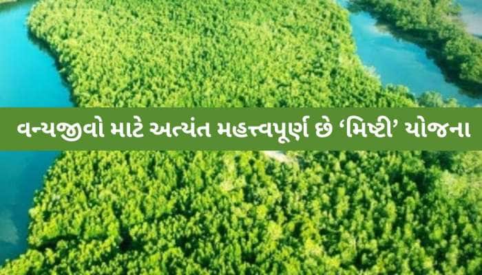 'મિષ્ટી યોજના'નો શું છે ઉદ્દેશ? અમલીકરણમાં ગુજરાત અગ્રેસર, અનેક લોકોને આપે છે રોજગાર